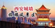 婷婷操屄啊中国陕西-西安城墙旅游风景区